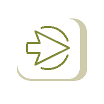 E-services